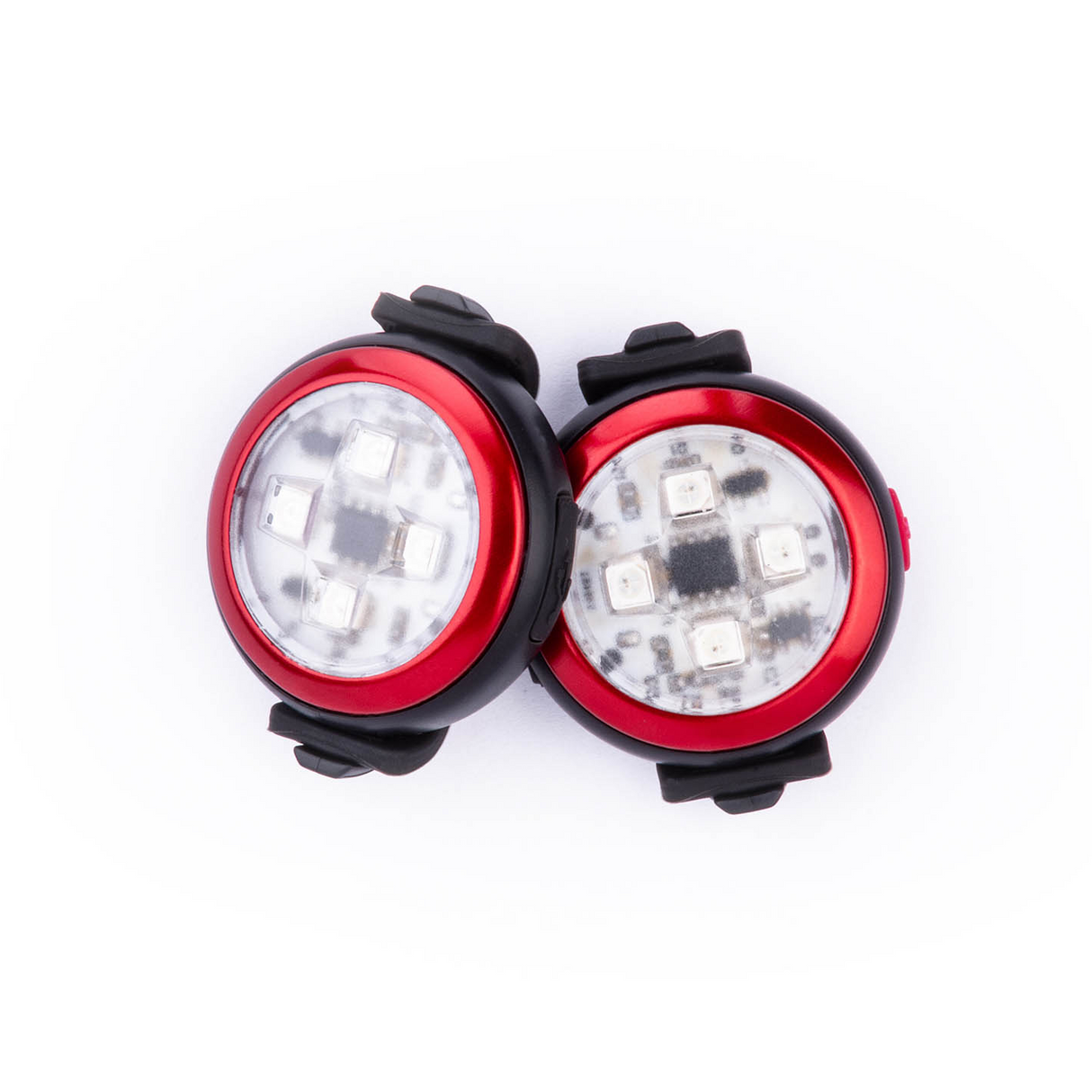 Curli Dog Luumi Safety LED