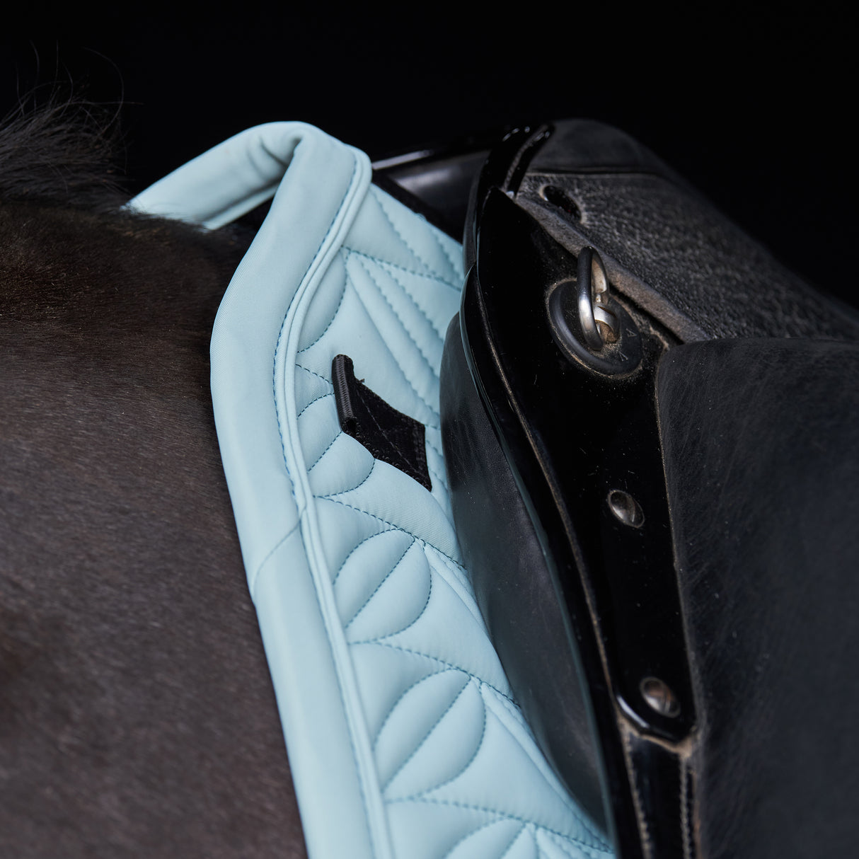 HV Polo Saddlepad HVPElisa DR Aqua Sky Full