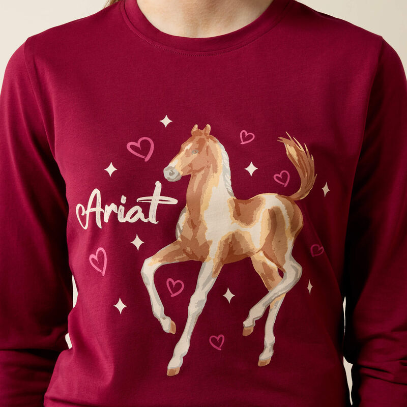 Ariat Youth Painted Dream LS T-Shirt Beet Red