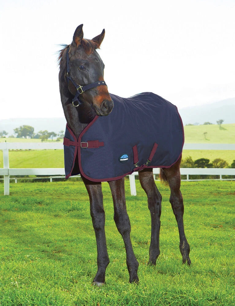 Weatherbeeta 1200D Foal Turnout Standard 220g Navy / Burgundy