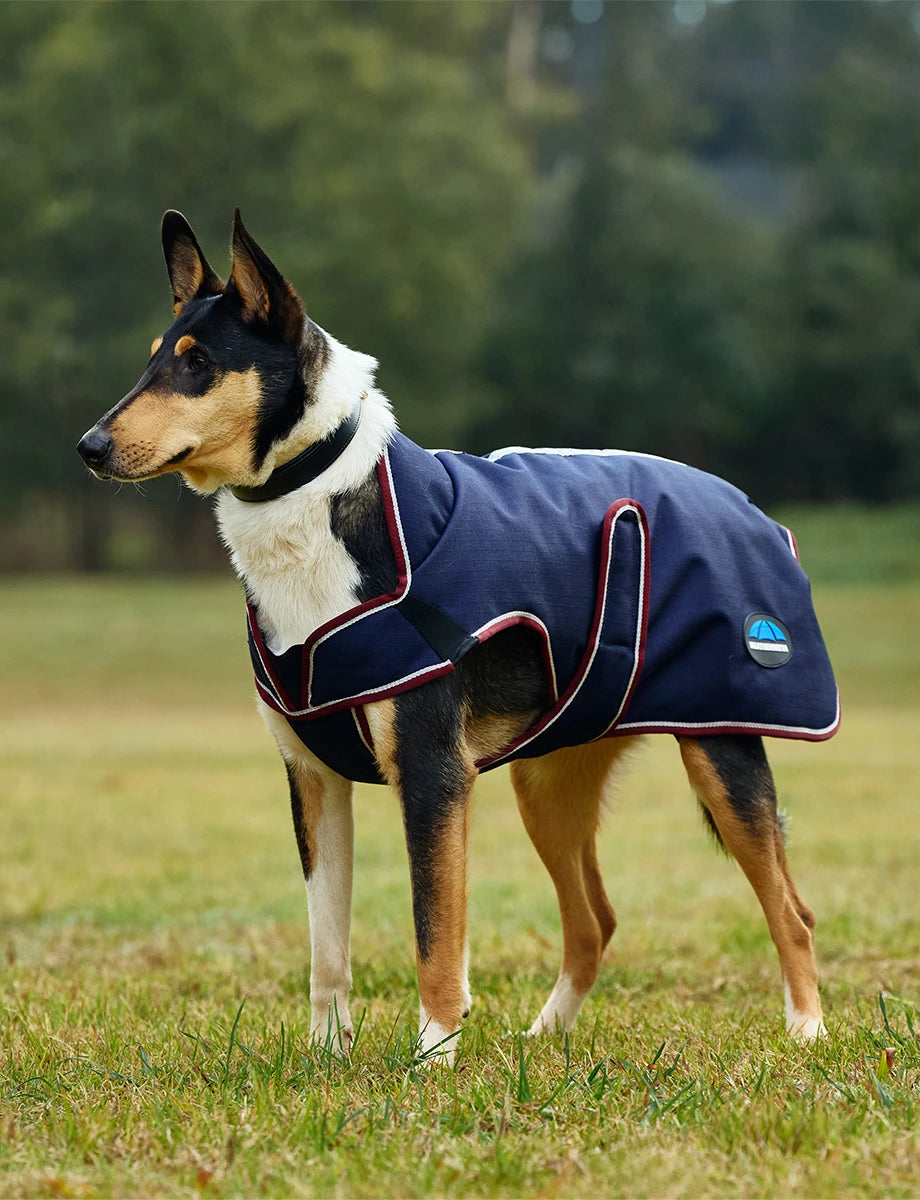Weatherbeeta Comfitec Premier Deluxe Waterproof Dog Coat Navy/Burgundy