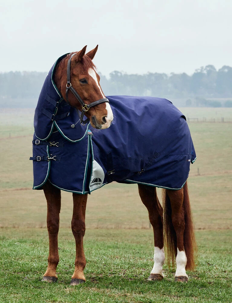 Weatherbeeta Comfitec Plus Dynamic Turnout Detach-A-Neck 100g Forest Green / Navy