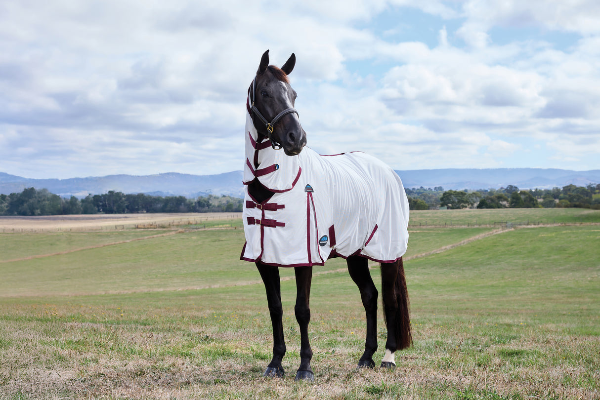 Weatherbeeta Comfitec Essential Fly Sheet Combo White/Burgundy