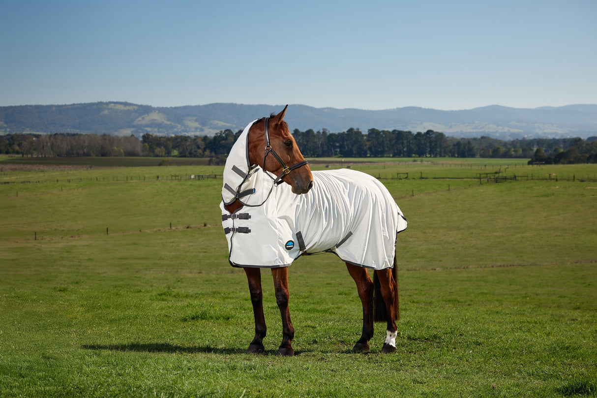 Weatherbeeta Comfitec Tyro Fly Sheet Combo White/Charcoal