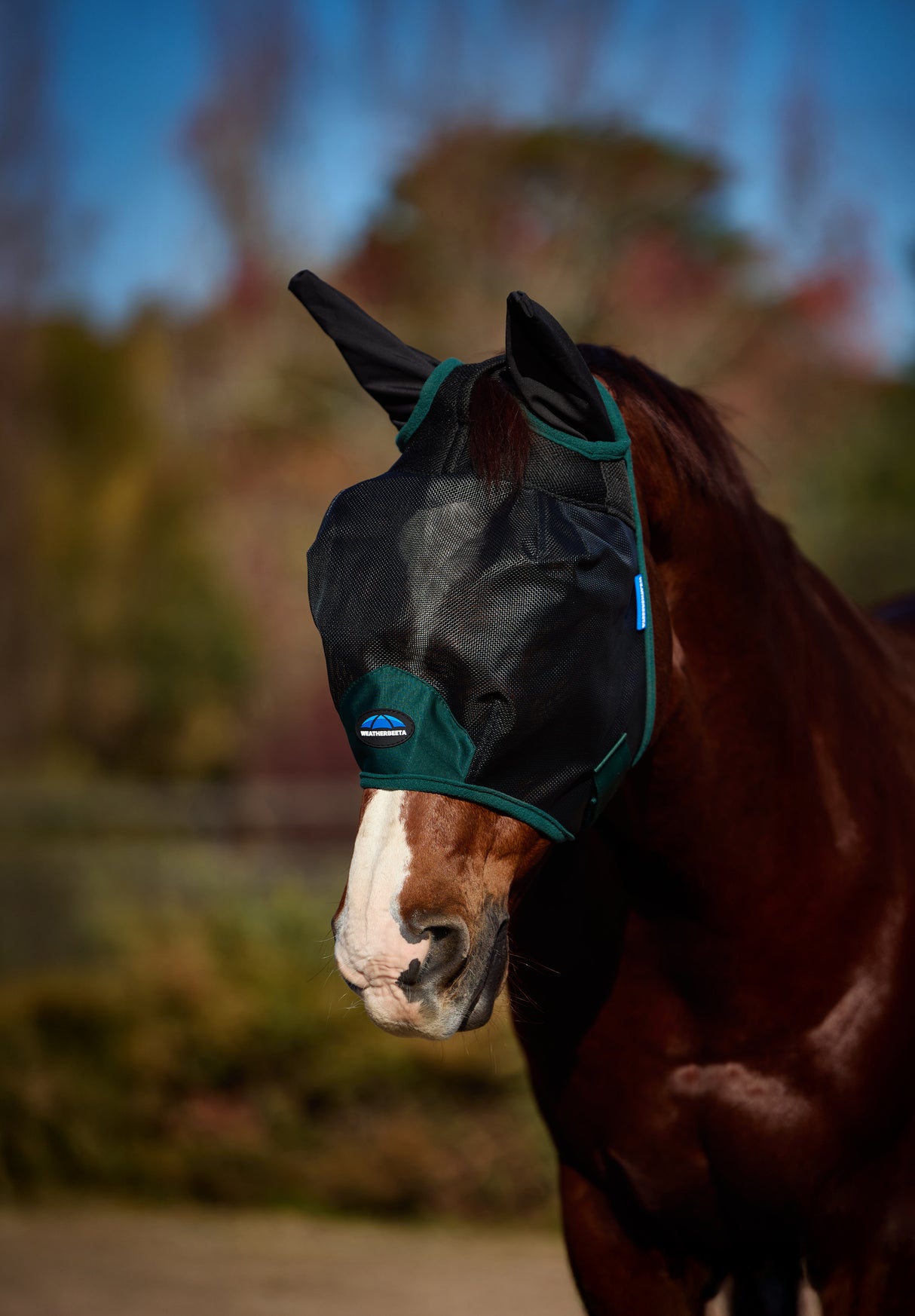 Weatherbeeta Comfitec Durable Mesh Fly Mask With Ears Black/Forest Green