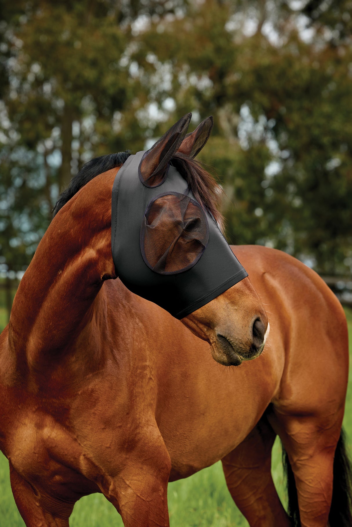 Weatherbeeta Comfitec Deluxe Stretch Fly Mask With Ears Black/Black