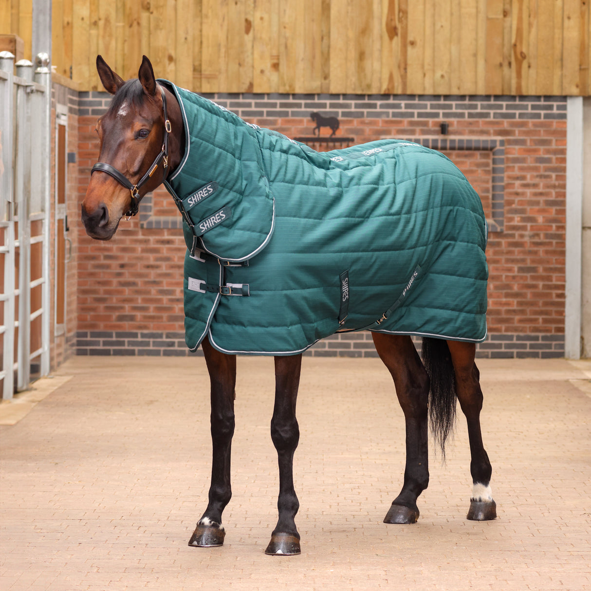 Shires Tempest Original 200g Combo Stable Rug Emerald