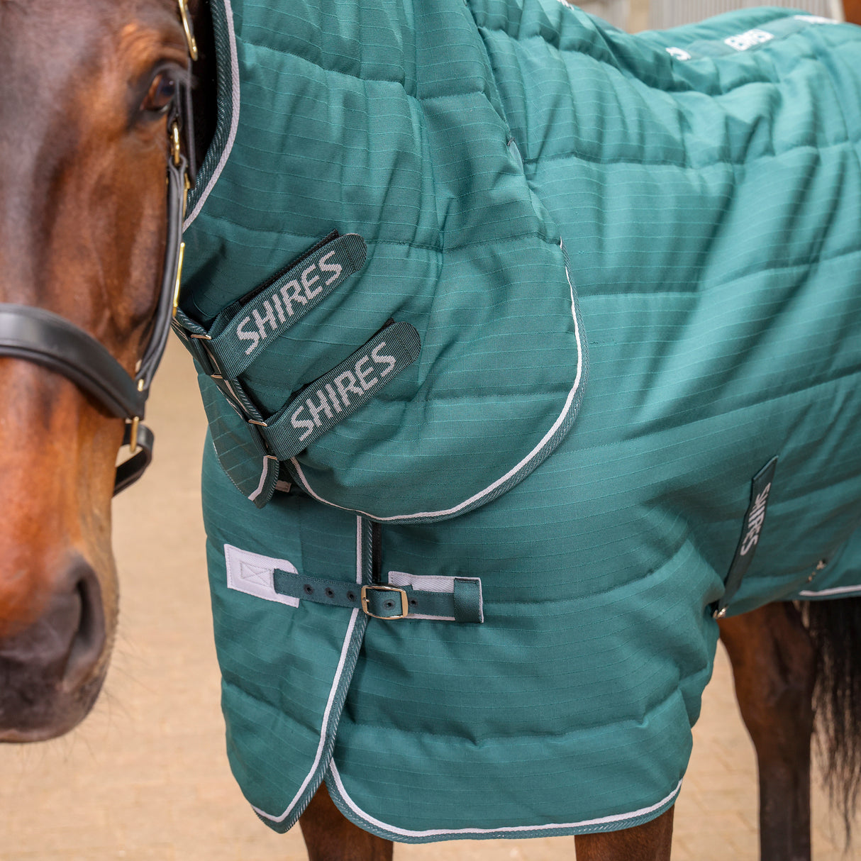 Shires Tempest Original 200g Combo Stable Rug Emerald