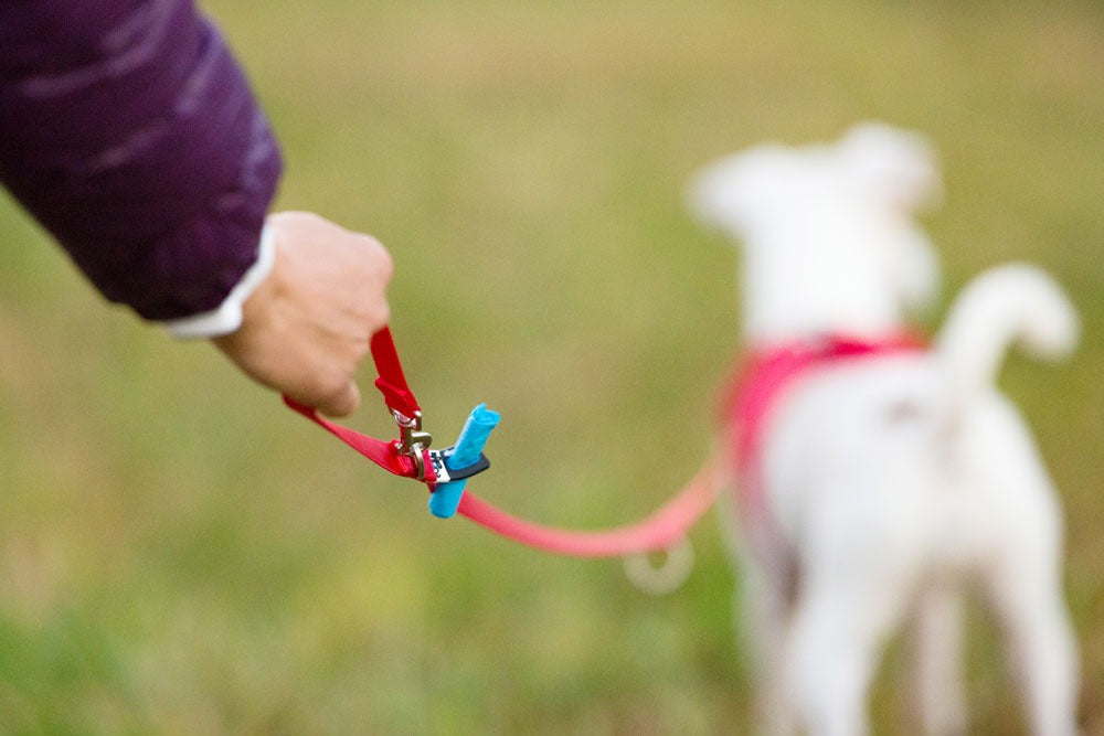 Curli Adjustable Dog Leash Nylon