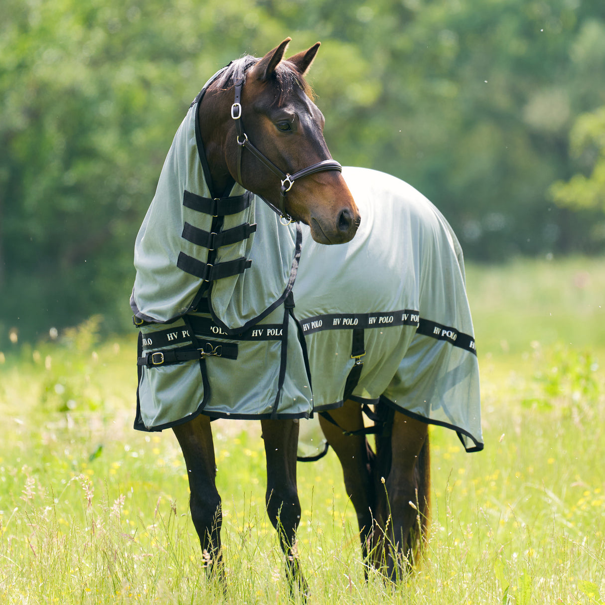 HV Polo Fly Blanket HVPNena Greenery