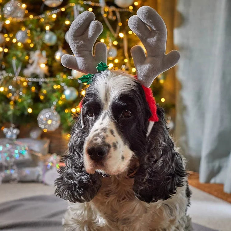 Zoon Rein-Dog Antlers