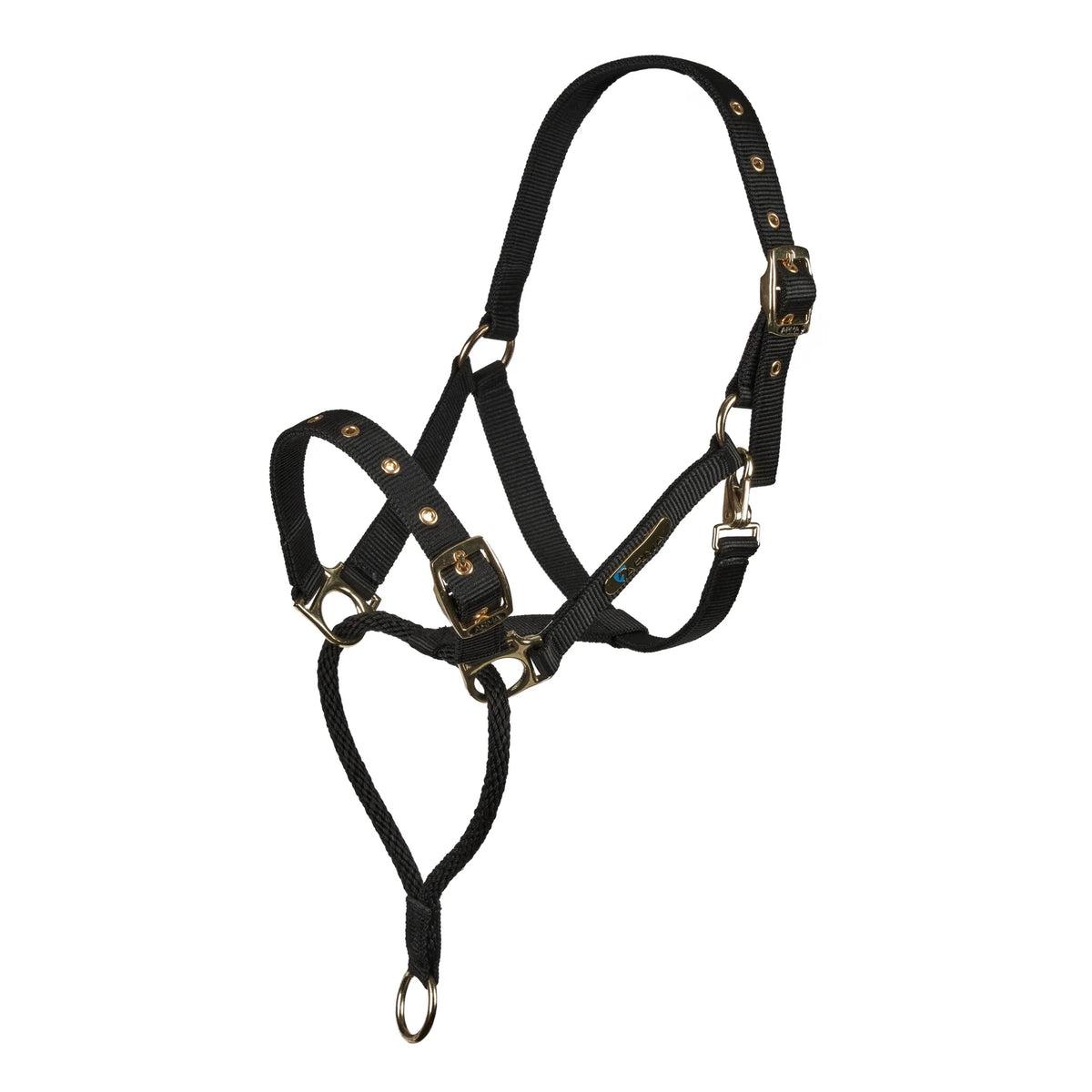 Shires ARMA Control Headcollar Black