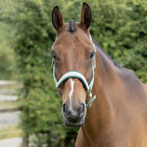 Hy Equestrian Mermaid Shimmer Head Collar And Lead Rope Set