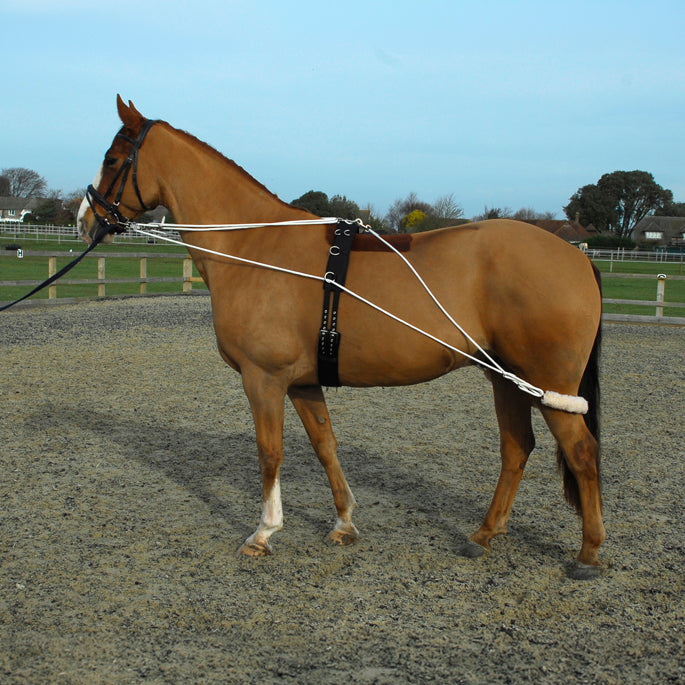Rhinegold Training System With Roller