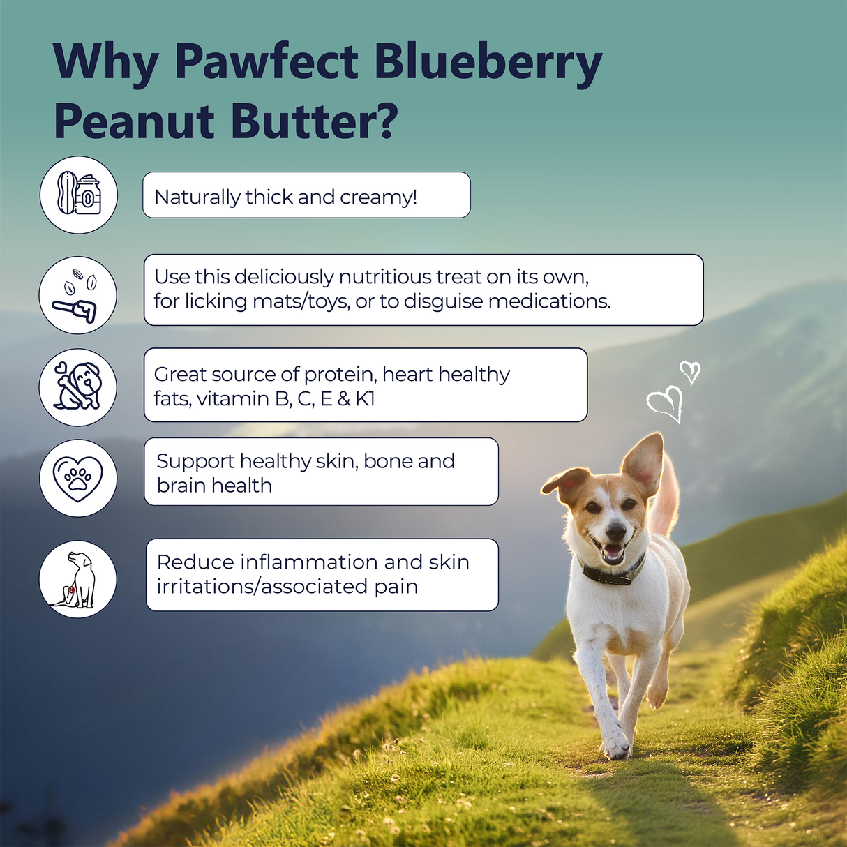 Pawfect Peanut Butter, Blueberry & Hempseeds 275g