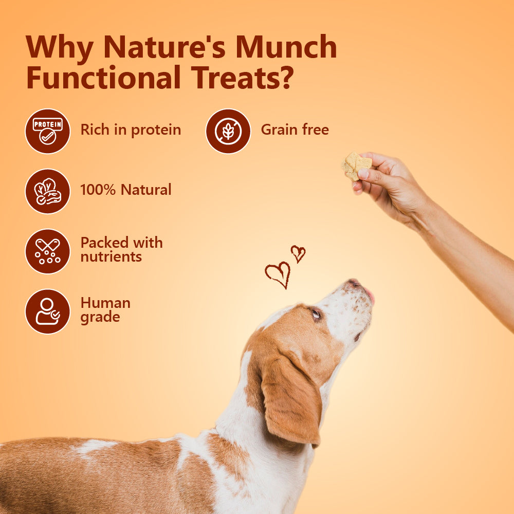 Pawfect Nature's Munch Freeze Dried Dog Treats Daily Chomp 75g