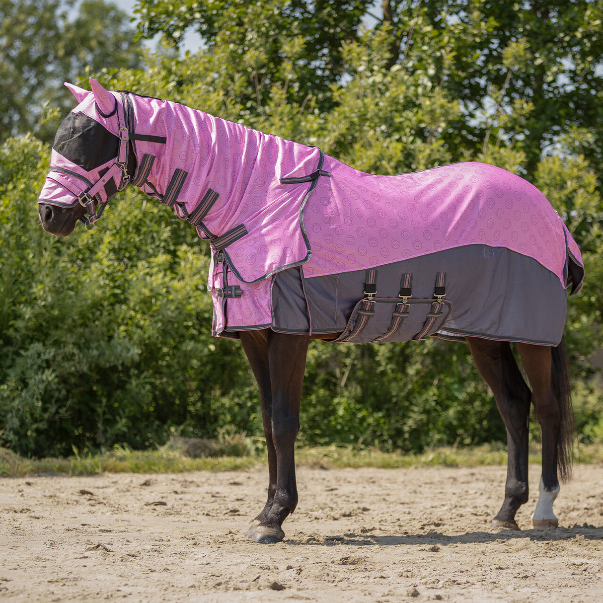 QHP Fly Sheet Collection With Neck And Hood Cheery Pink