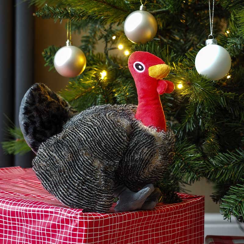 Zoon Gobbles