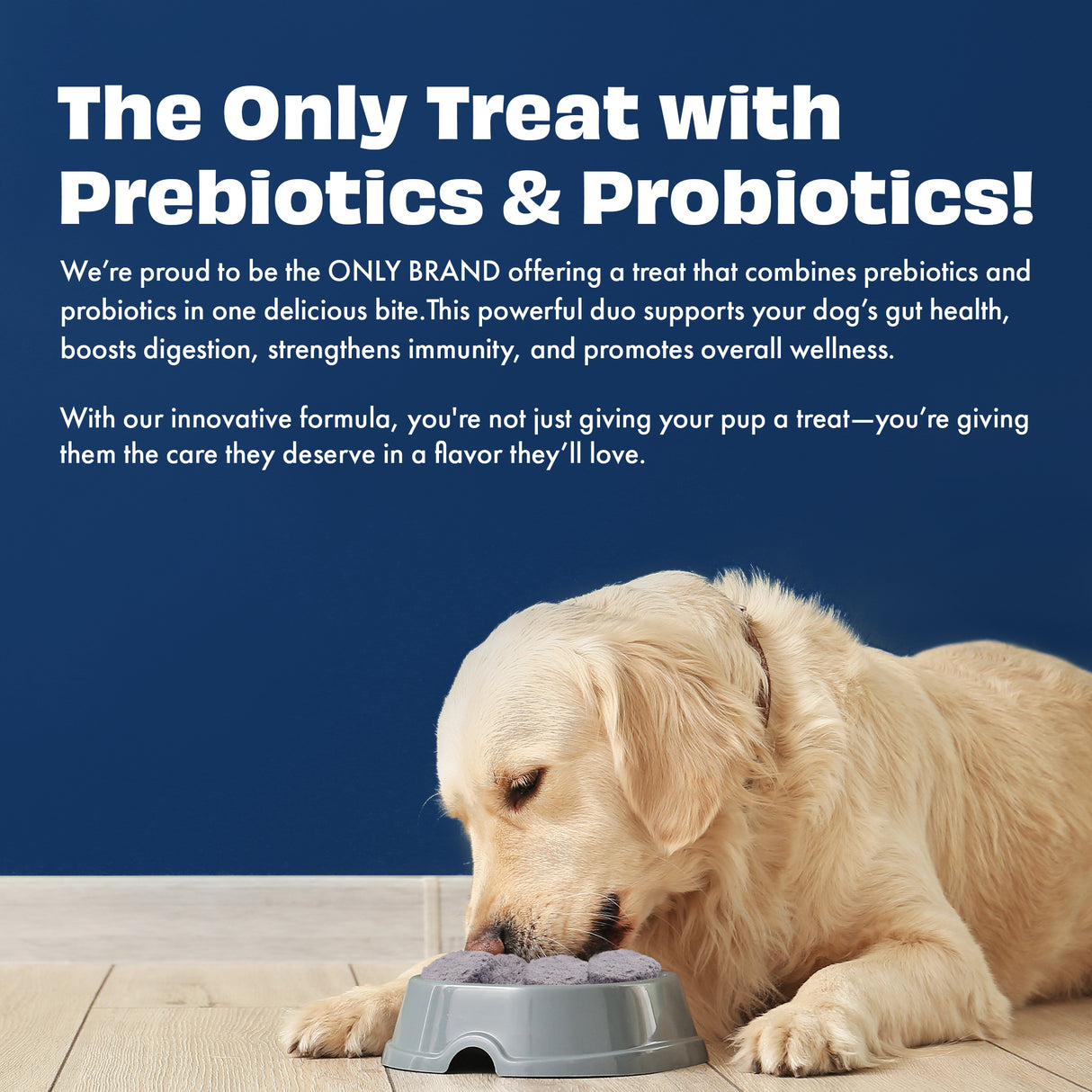 Pawfect Yogurt Melties Pre and Probiotic Dog Treats with Blueberry, Cranberry, Blue Spirulina & Mint 38g
