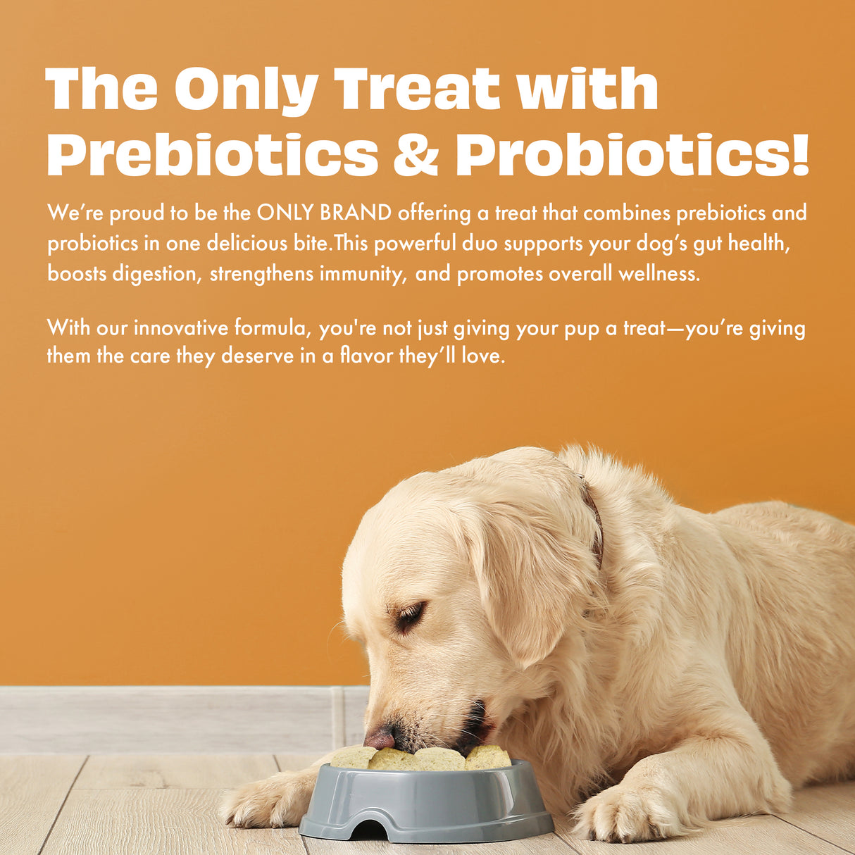 Pawfect Yogurt Melties Pre and Probiotic Dog Treats with Carrot, Flaxseed, Pea & Sweet Potato 38g