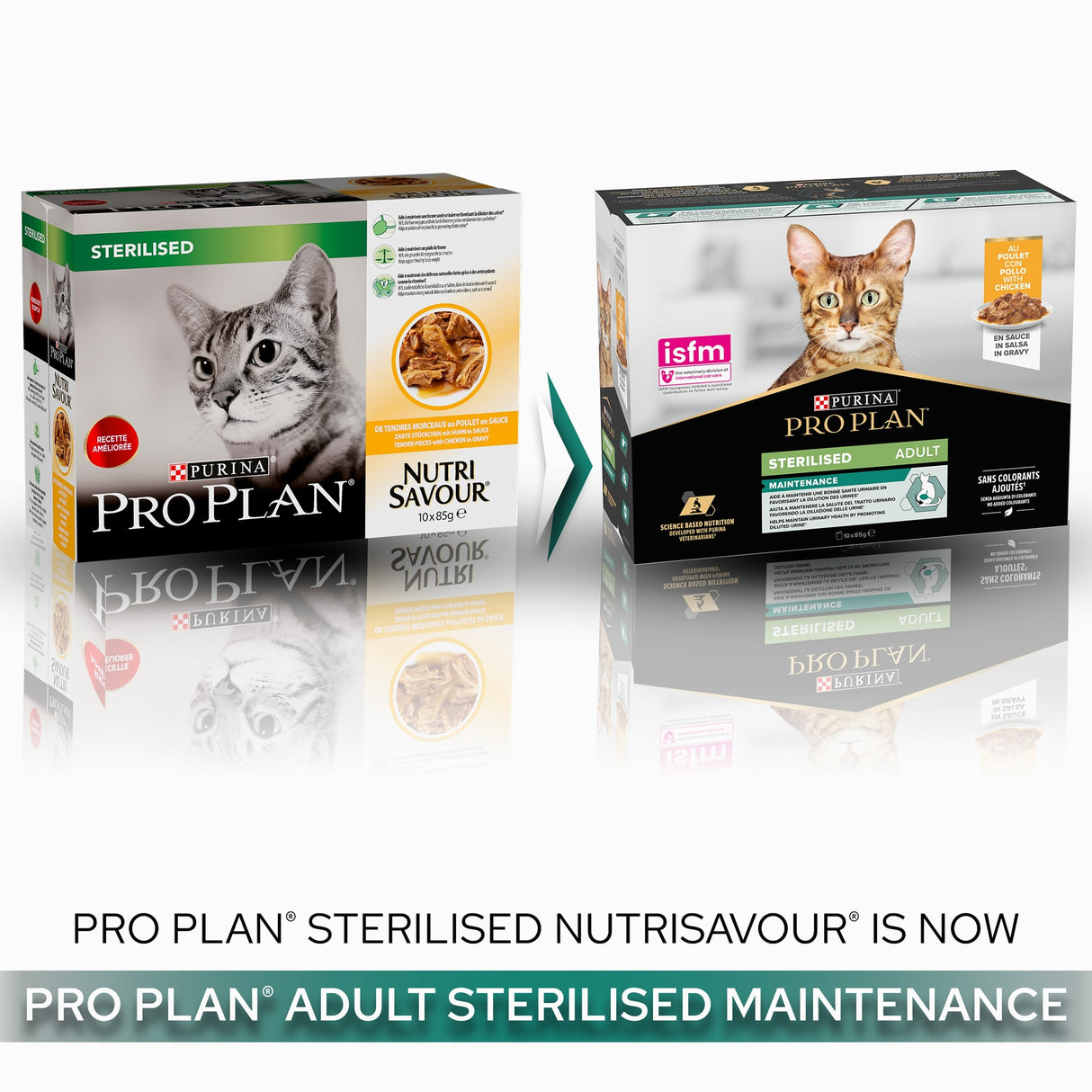 Pro Plan Cat - Adult Sterilised Maintenance Chicken In Gravy 10x85g