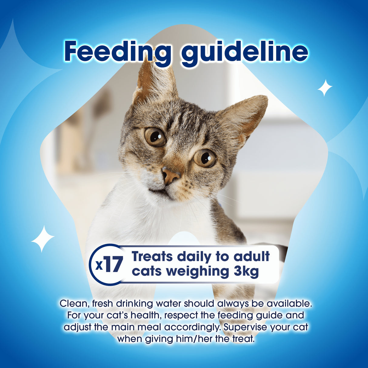 Dentalife Cat Chicken 40g