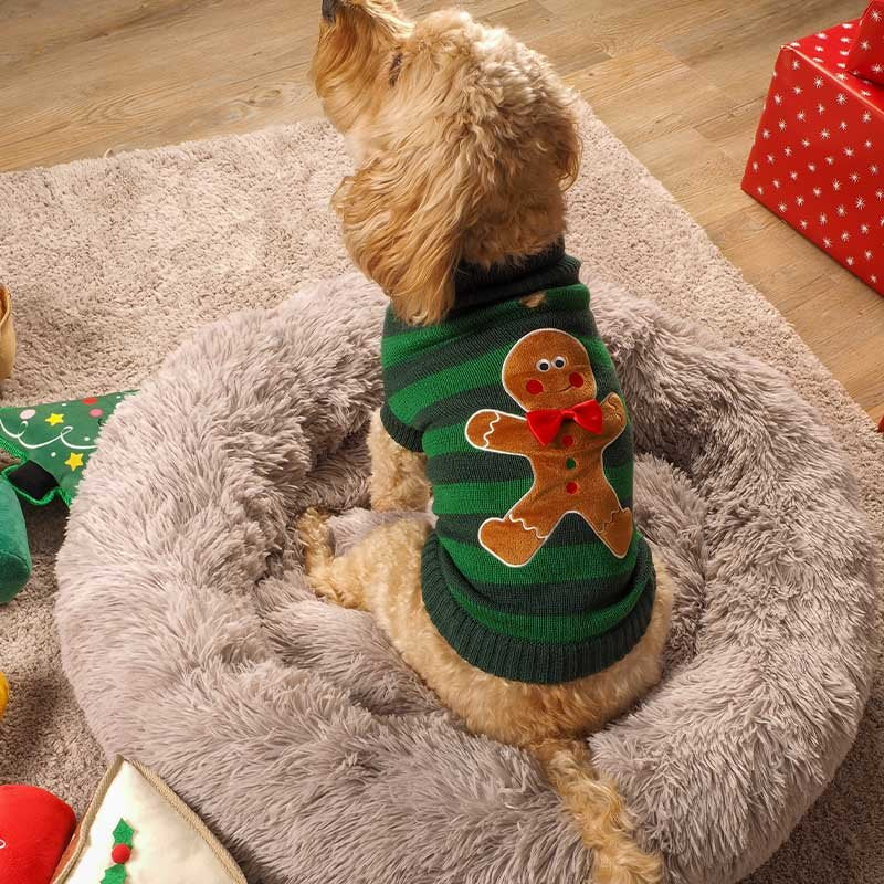 Zoon Gingerbread Jumper 45cm