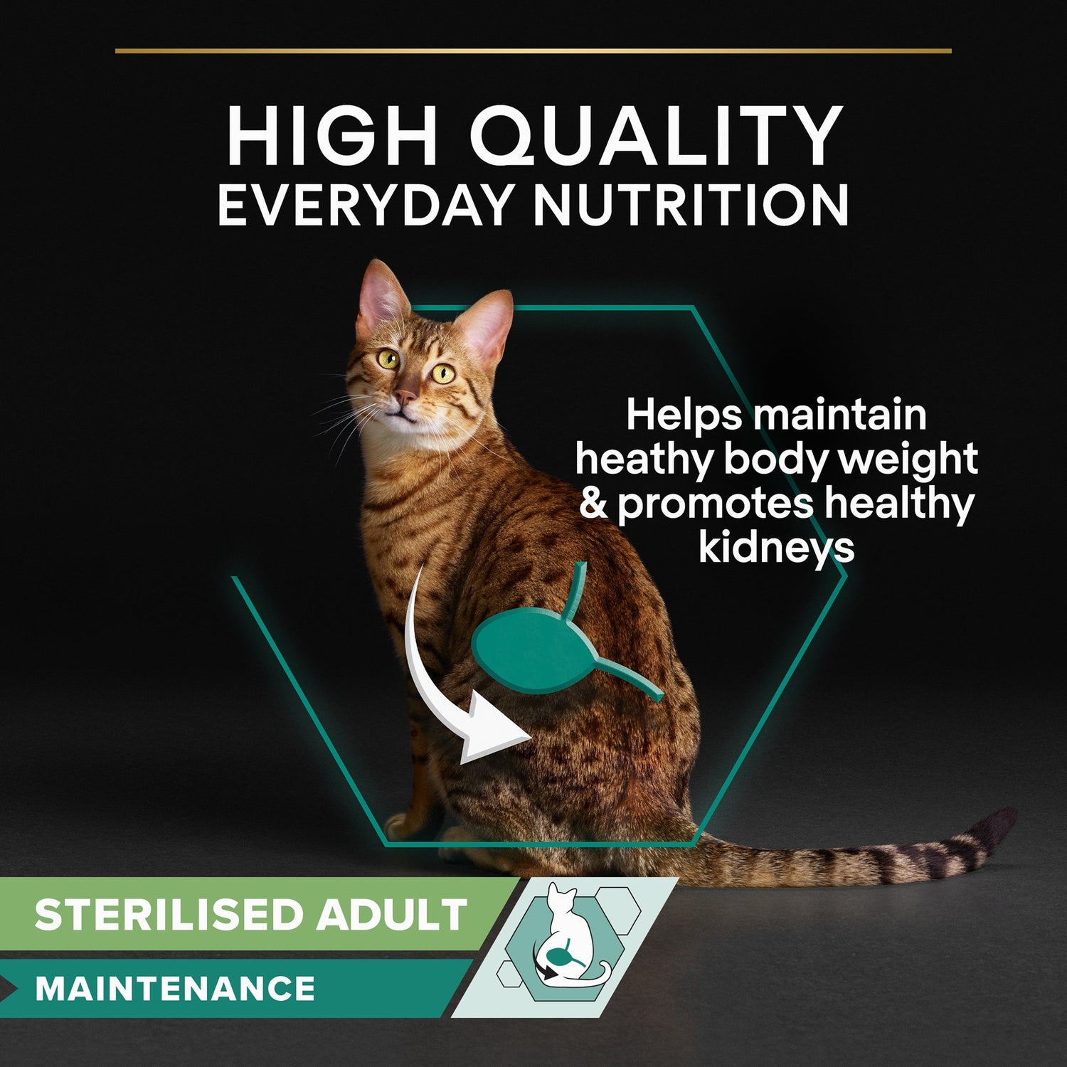 Pro Plan Cat - Adult Sterilised Maintenance Cod Terrine 10x75g