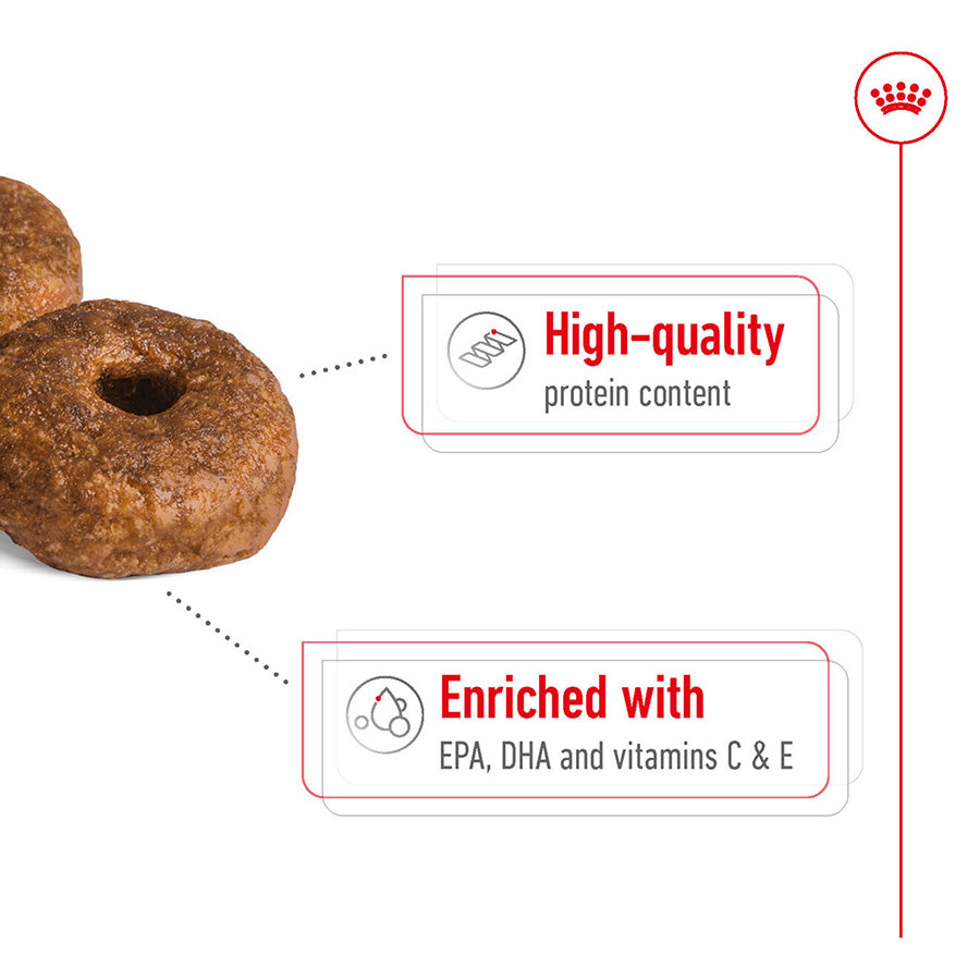Royal Canin Medium Ageing 10+ 15kg