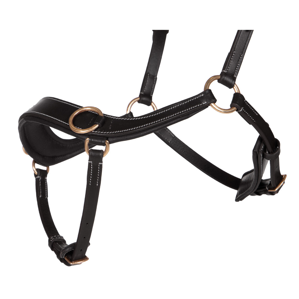 QHP Bitless Bridle Anatomical Black