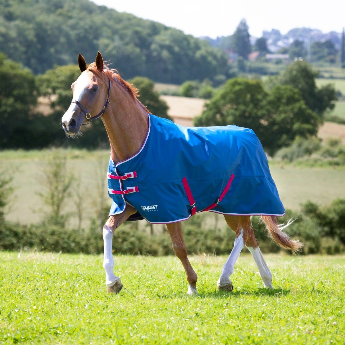 Shires Tempest Original Lite Turnout Rug Teal
