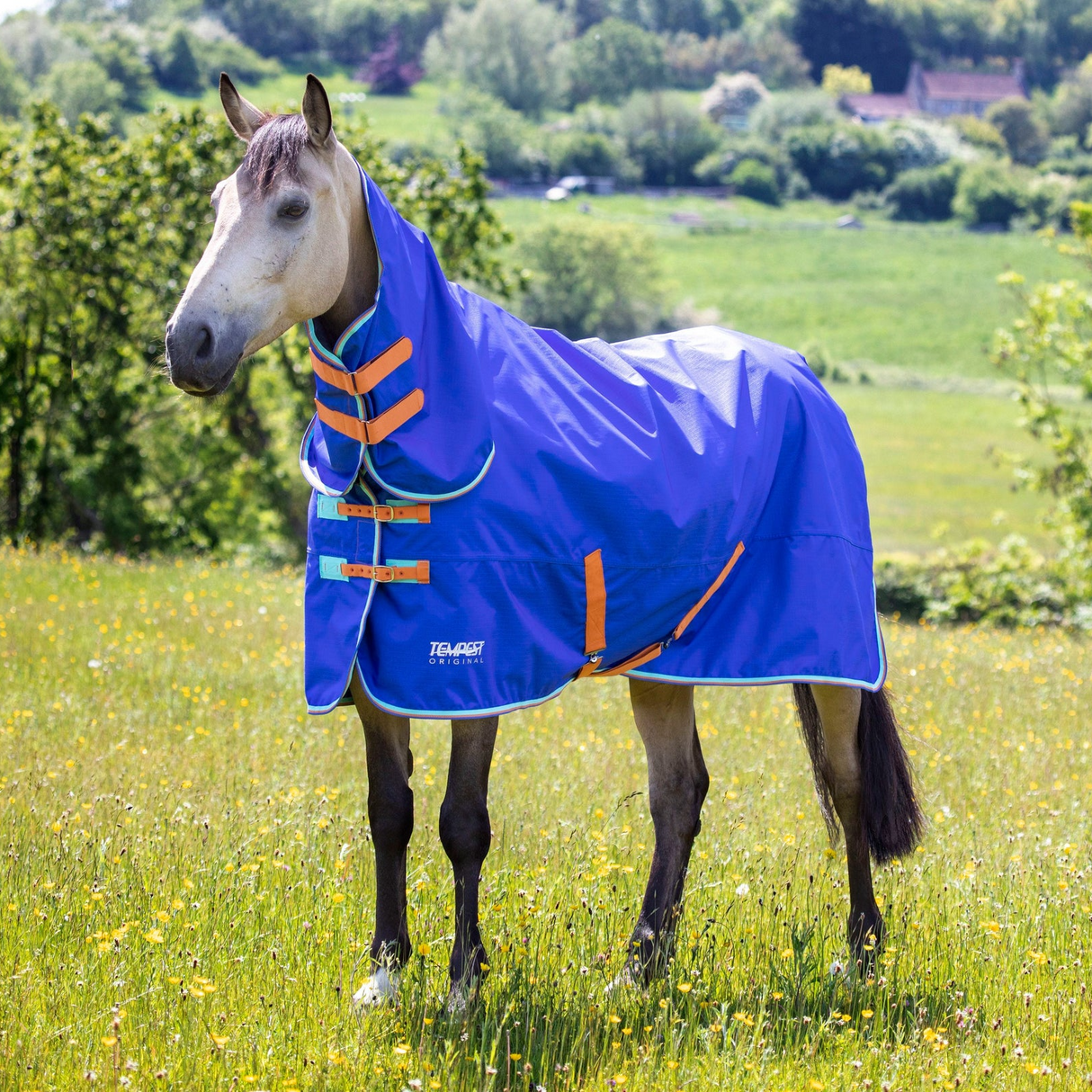 Shires Tempest Original 50g Combo Turnout Rug Royal
