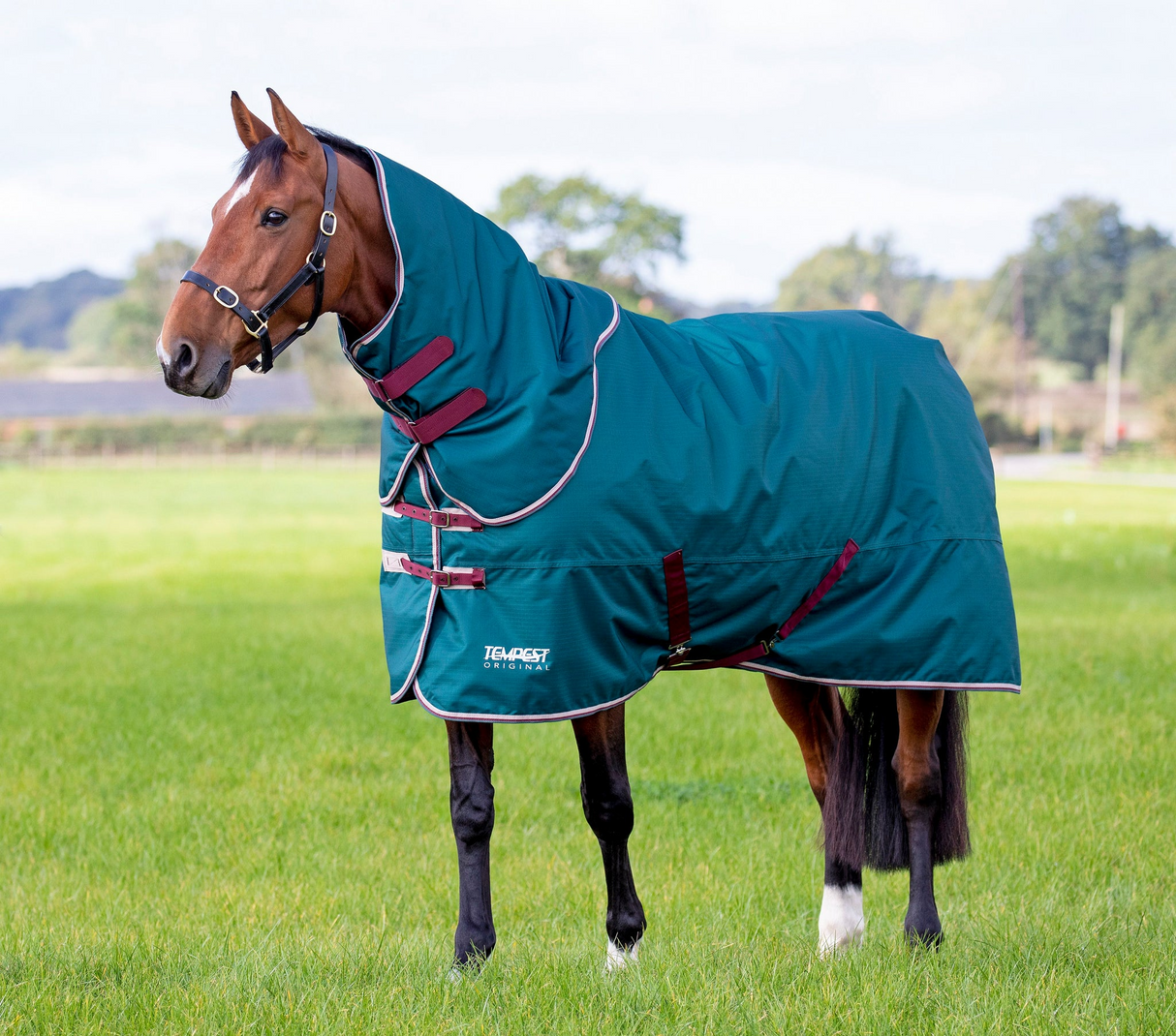 Shires Tempest Original 200g Turnout Rug & Neck Set Green