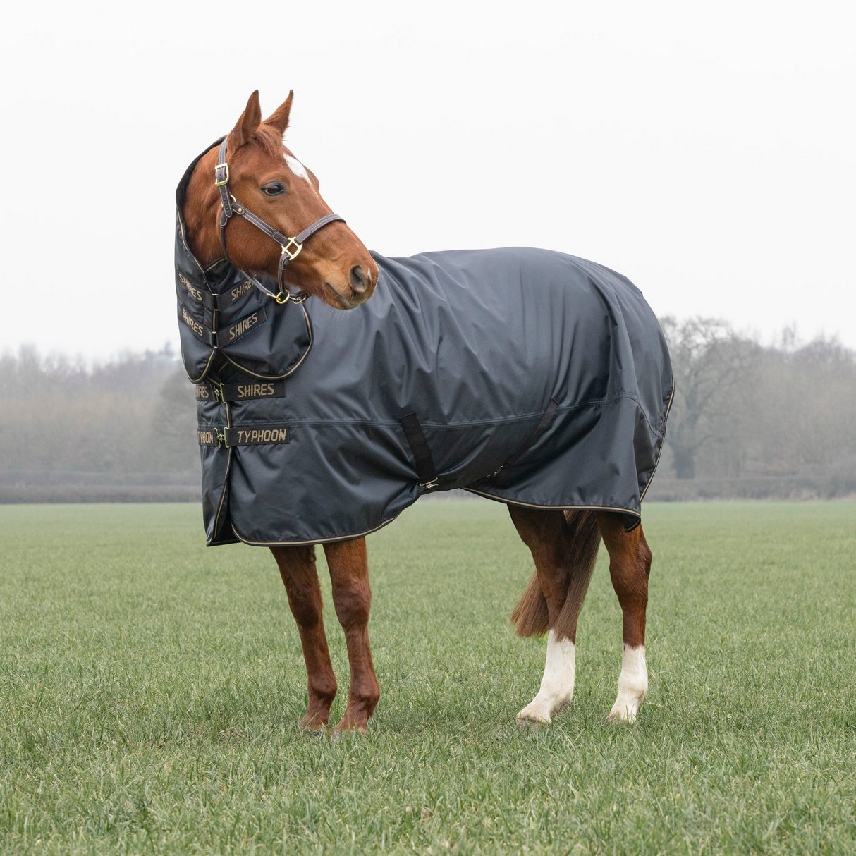 Shires Typhoon 50g Combo Turnout Rug Black