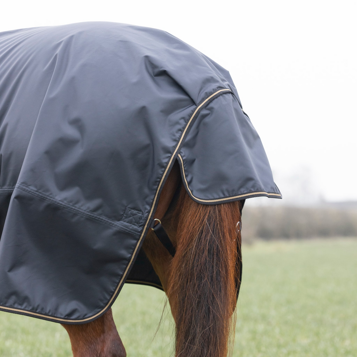 Shires Typhoon 50g Combo Turnout Rug Black