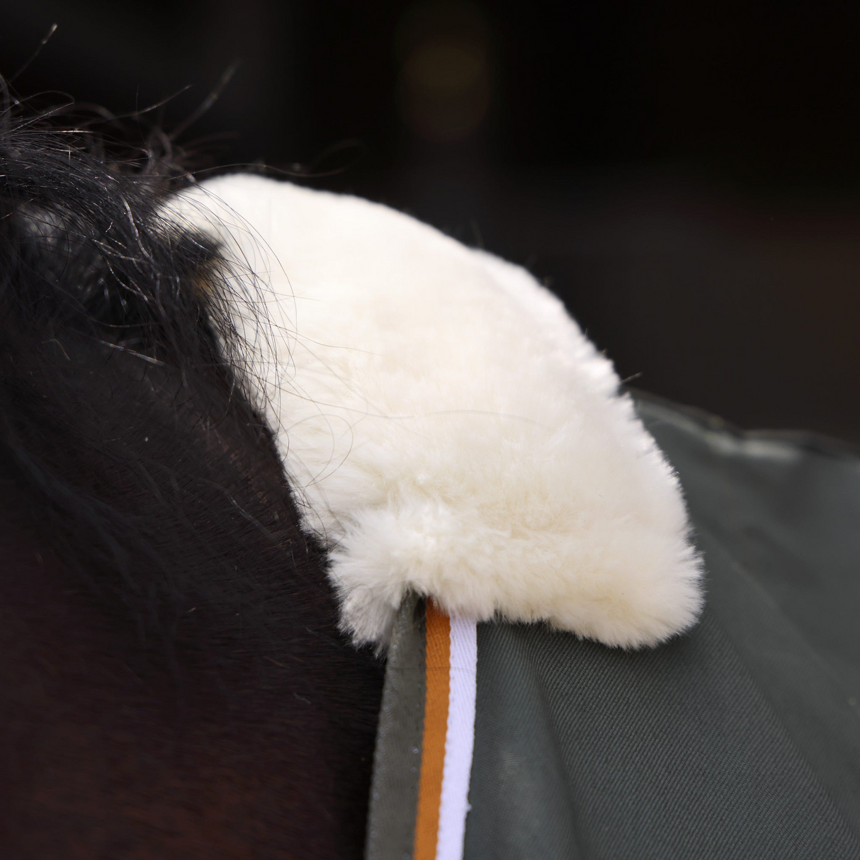 Shires Tempest Original Stable Sheet Khaki