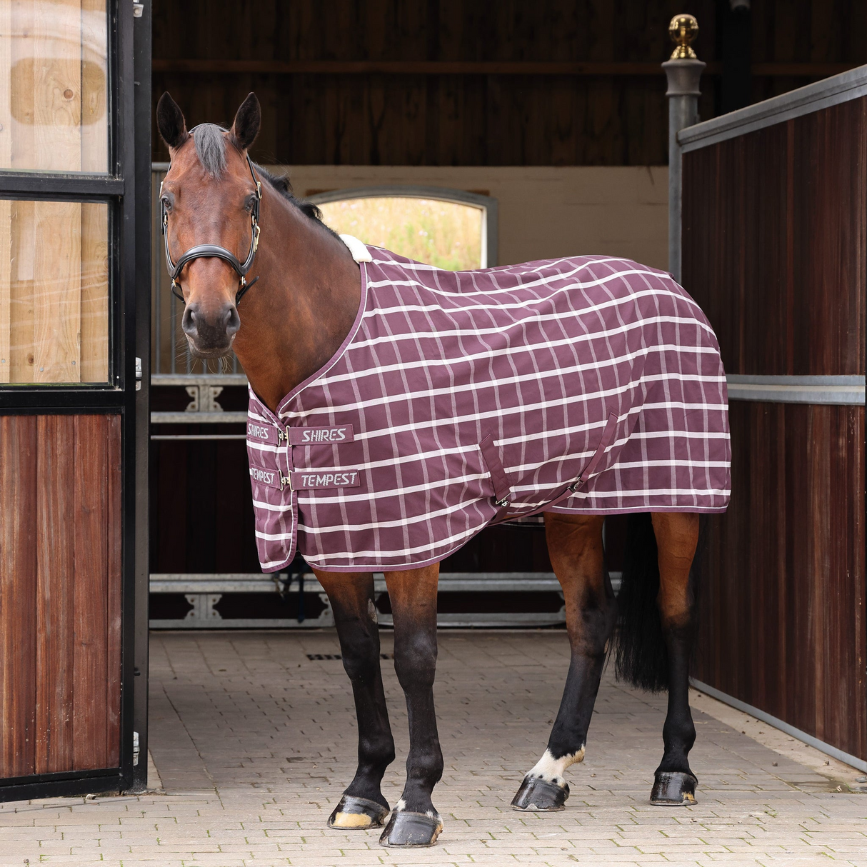Shires Tempest Original Stable Sheet Maroon Check