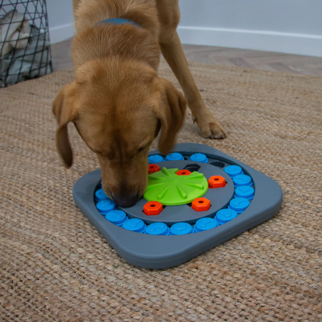 Ancol Orva Puzzle Wheel