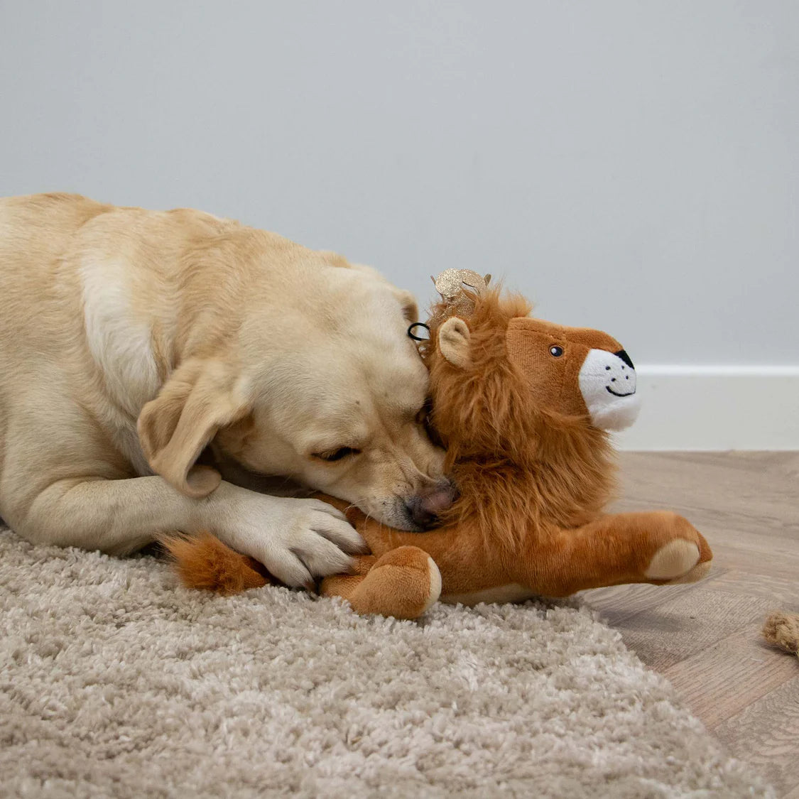 Ancol Playtime Cuddle King Leo The Lion