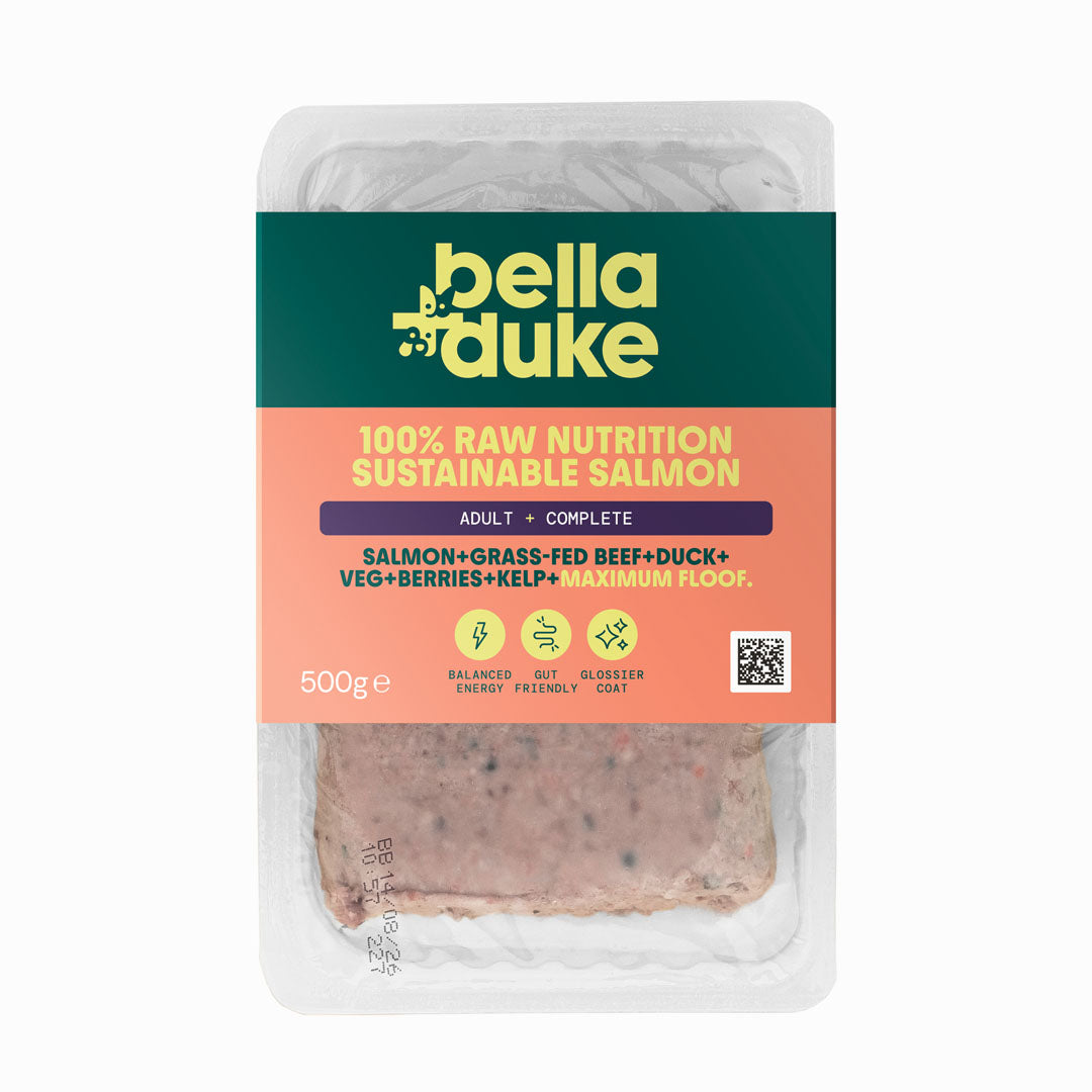Bella + Duke Adult Complete Salmon 500g