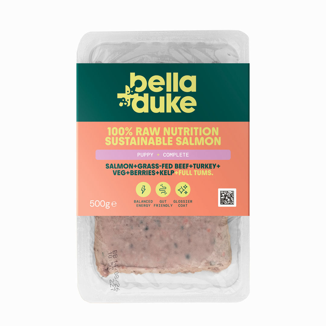 Bella + Duke Puppy Complete Salmon 500g