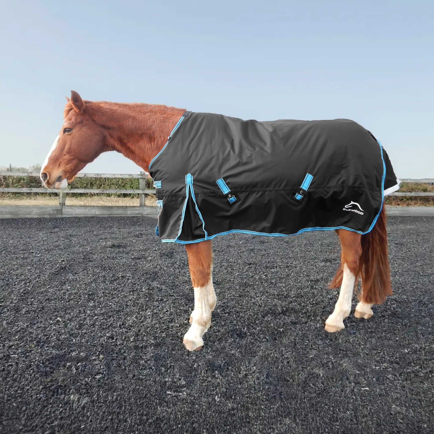Burwood 200g Turnout Rug Black/Turquoise