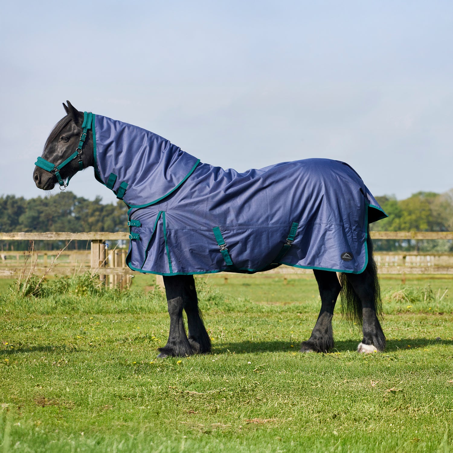 Burwood 100g Detachable Neck Turnout Rug Navy/Teal