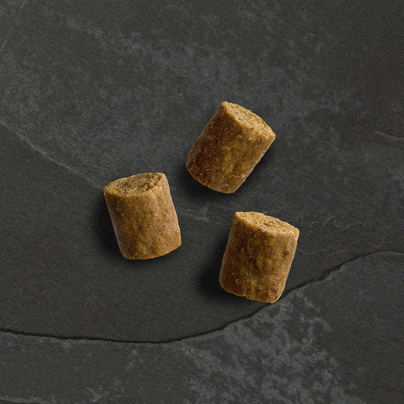 Canagan Dog - Wild Bites Chicken & Pork 60g