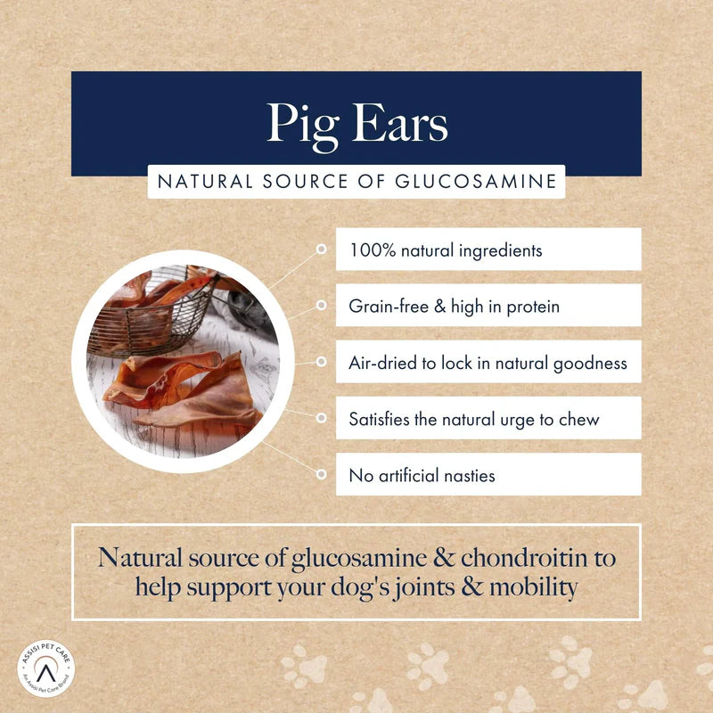 Hollings Pigs Ear Bulk Box (50)