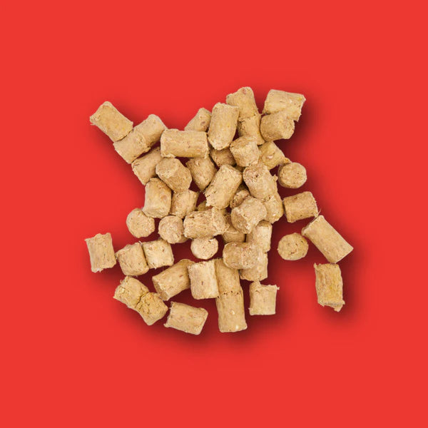 Nutriment Dog - Freeze Dried Treats Beef 30g
