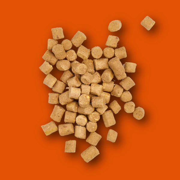 Nutriment Dog - Freeze Dried Treats Chicken 30g