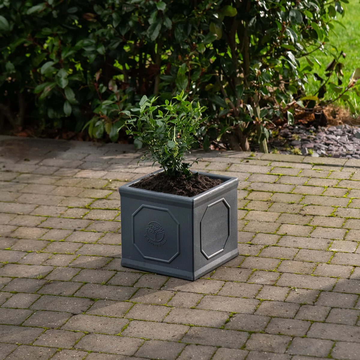 Strata Small Square Heritage Planter 32cm