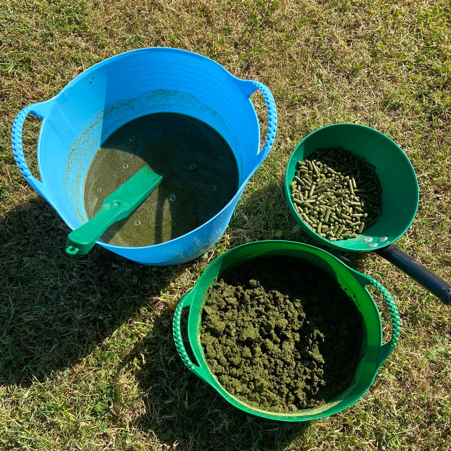 Emerald Green Feeds Grass Pellets 20kg