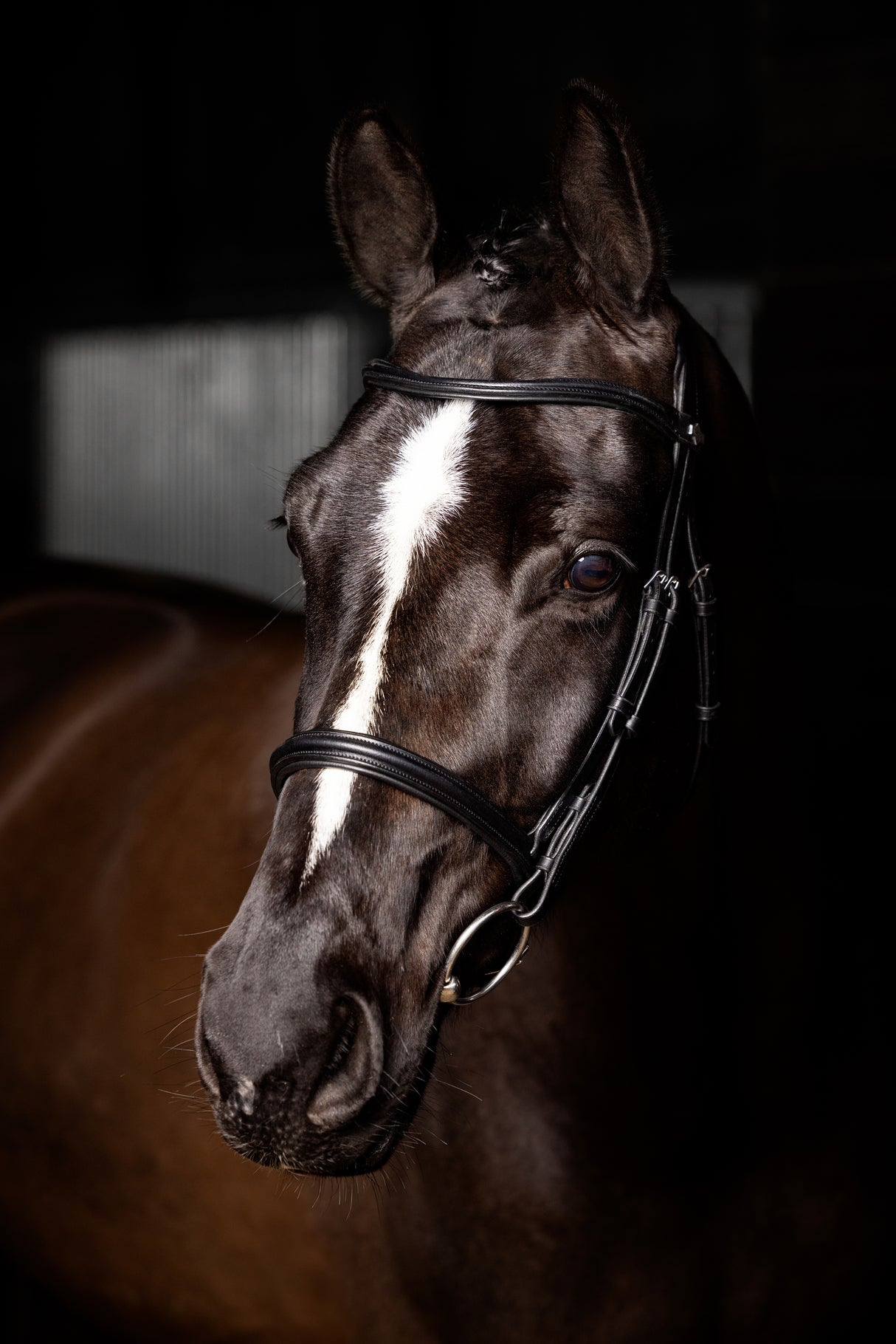 Le Mieux Arika Cavesson Bridle